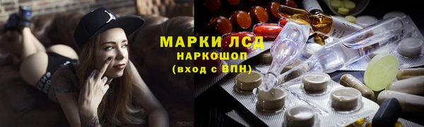 ГАЛЛЮЦИНОГЕННЫЕ ГРИБЫ Верея
