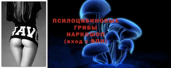 мяу мяу мука Магадан