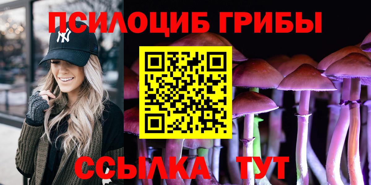 Псилоцибиновые грибы Magic Shrooms  Галлюциногенные грибы GOLDEN TEACHER  цены   Маркс 