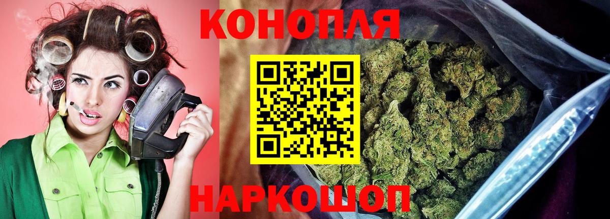 Канабис сатива Маркс